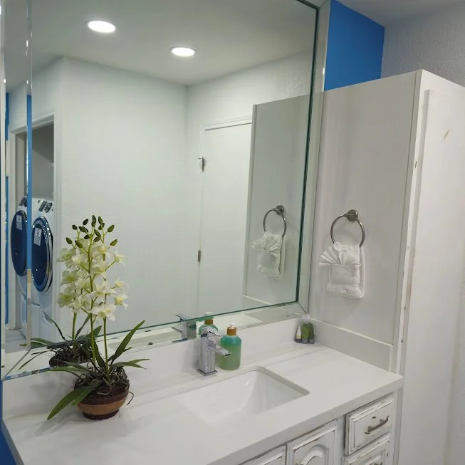 Bathroom sink with a mirror, a potted orchid plant, soap dispenser, and a small container, with towels hanging on a wall-mounted towel ring. Laundry machines are visible in a reflection.