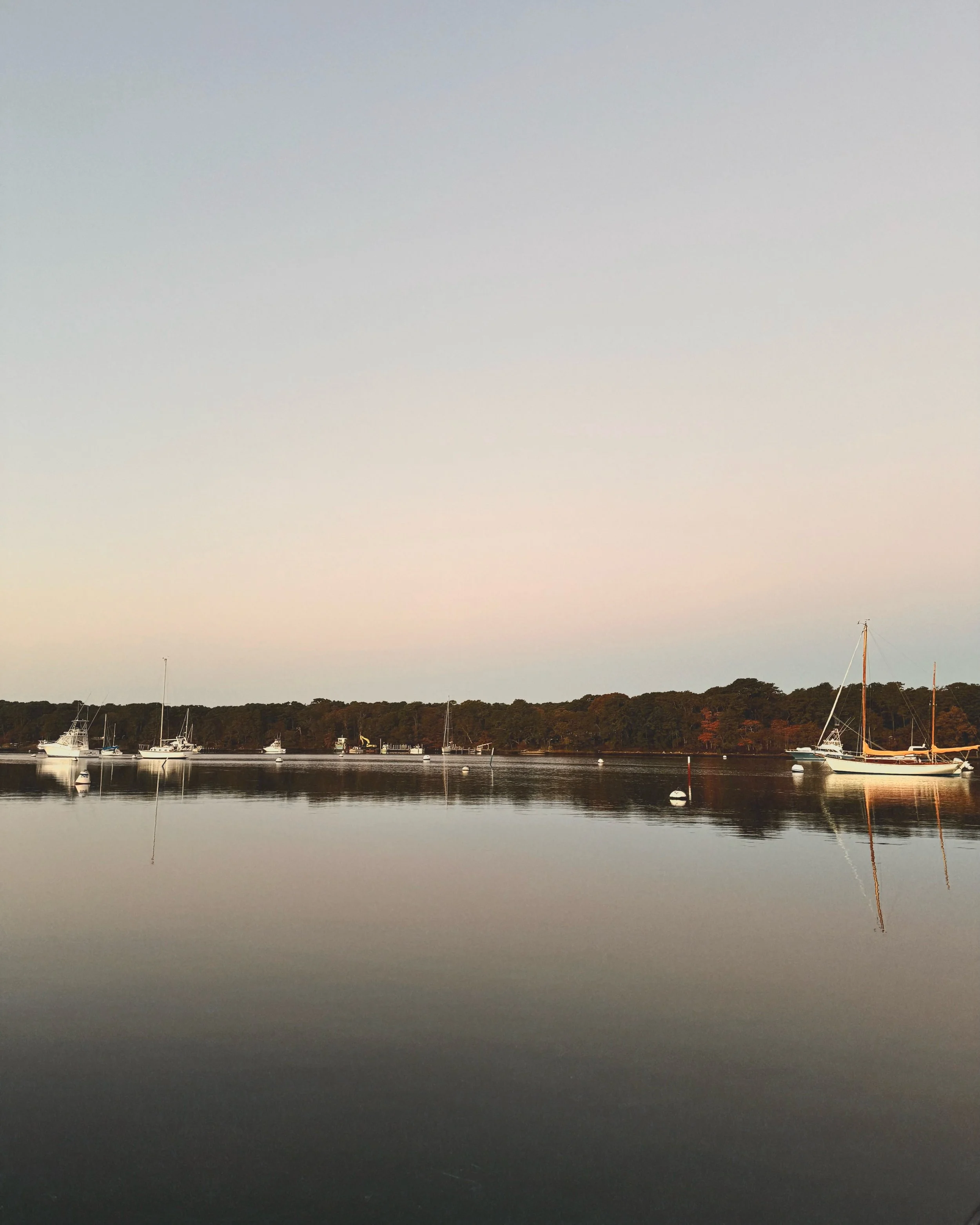 october on the vineyard