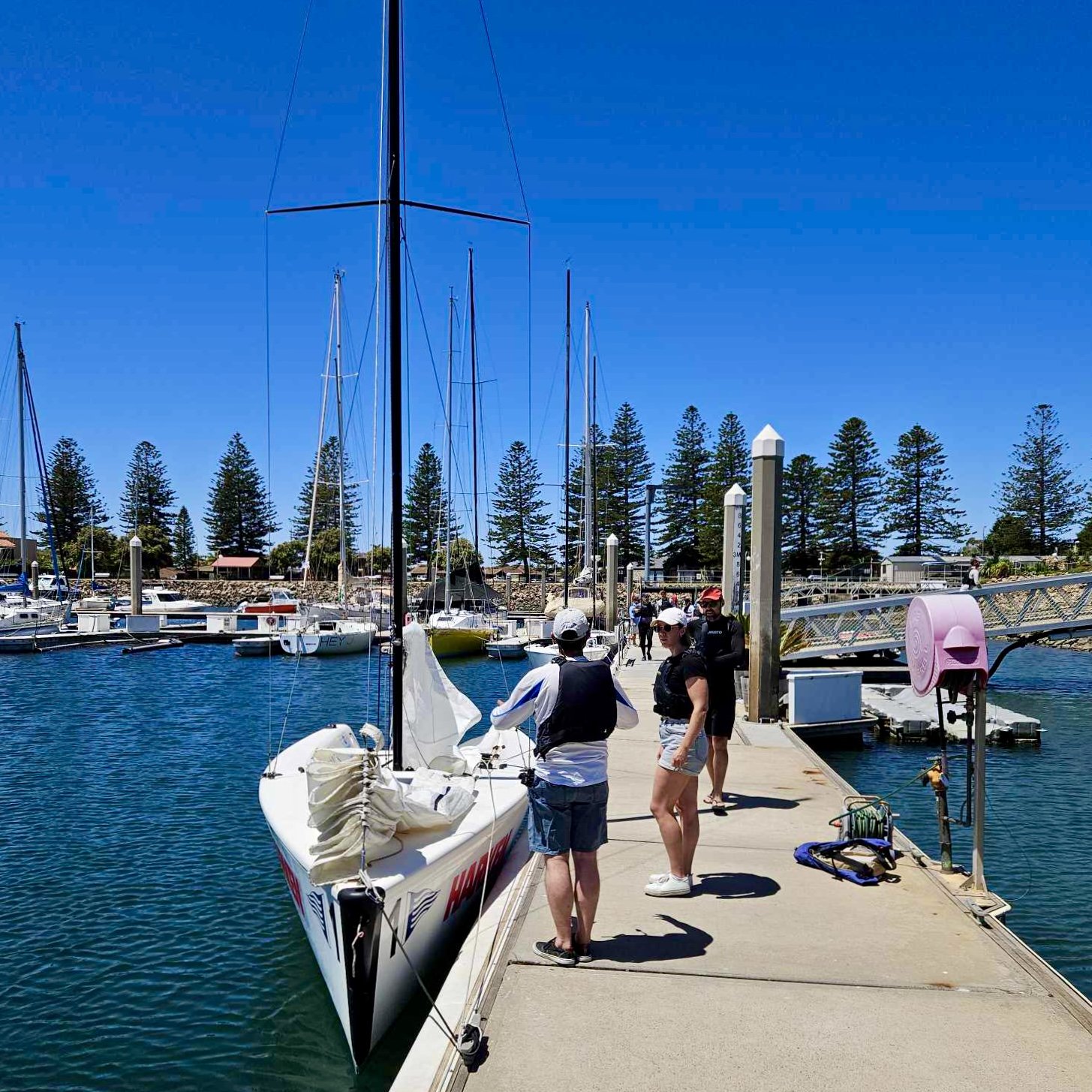 People standing on a marina dock next to a white sailboat with a black mast, other sailboats and pine trees in the background, under a clear blue sky.