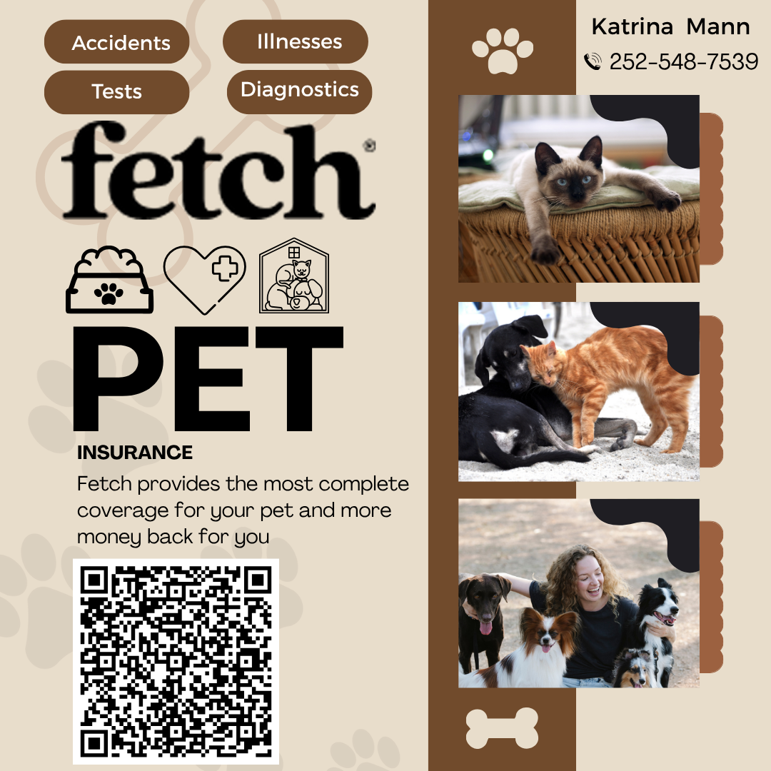 Pet insurance flyer featuring three images: a Siamese cat lying on a wicker basket, two dogs (one black and one orange) interacting, and a woman with multiple dogs posing outdoors. Contact information for Katrina Mann with a phone number. Icons representing pet care, health, and home care.