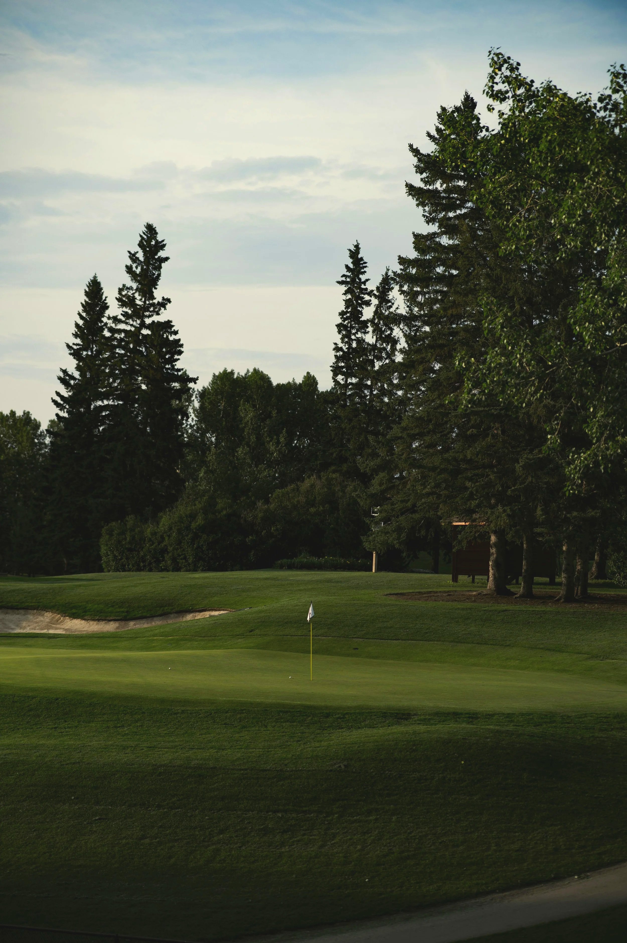 Team Golf Experience