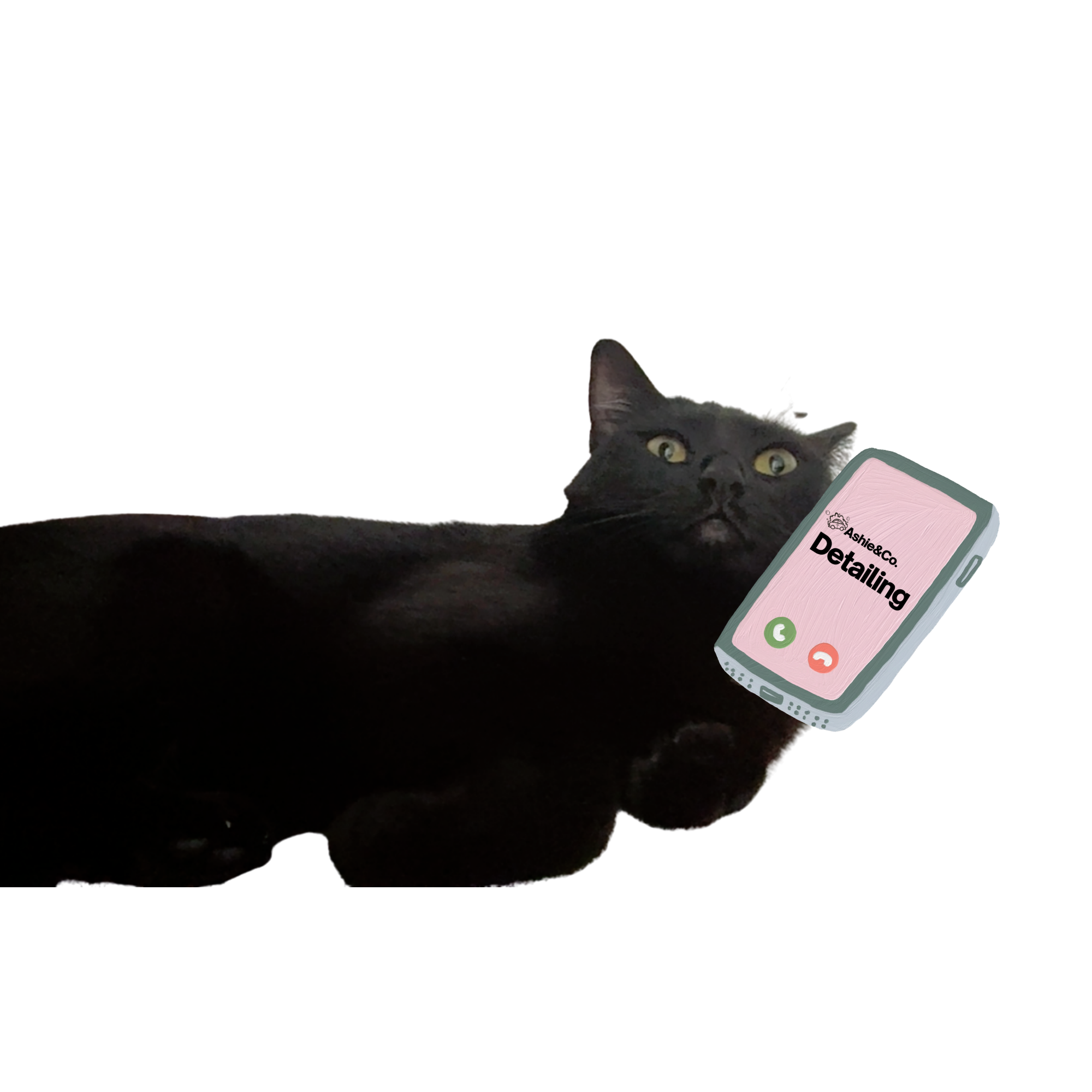 A black cat resting on a dark surface, with a pink phone case and a smartphone displaying a screen with the title 'Detailing' and a contact app interface.