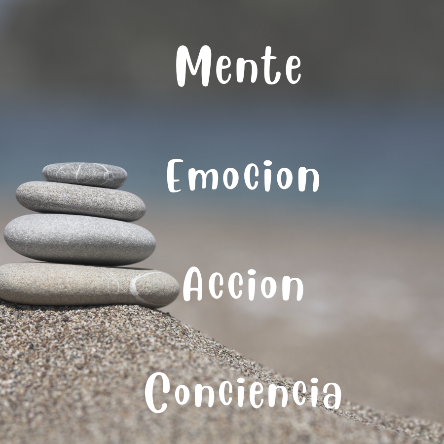 Tres caminos de transformación: mente, emoción y conciencia