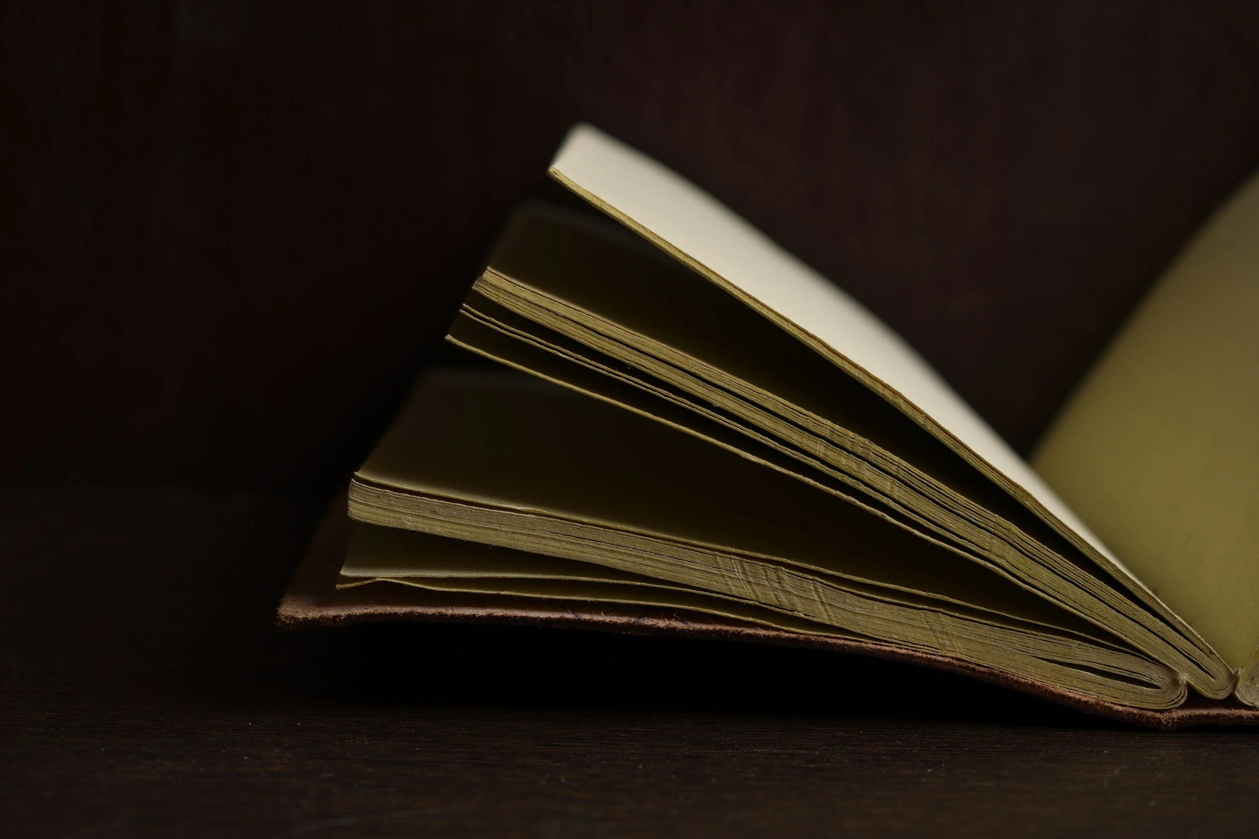 Close-up of an open book with pages slightly curved, viewed from the side against a dark background.