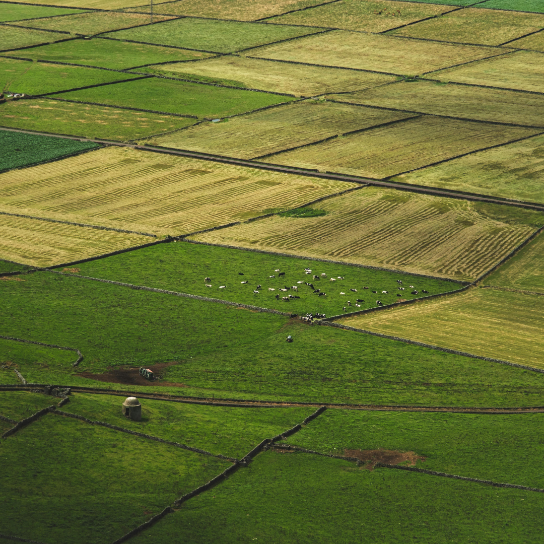 Mutation of Property in Punjab: Process, Documents and Common Problems