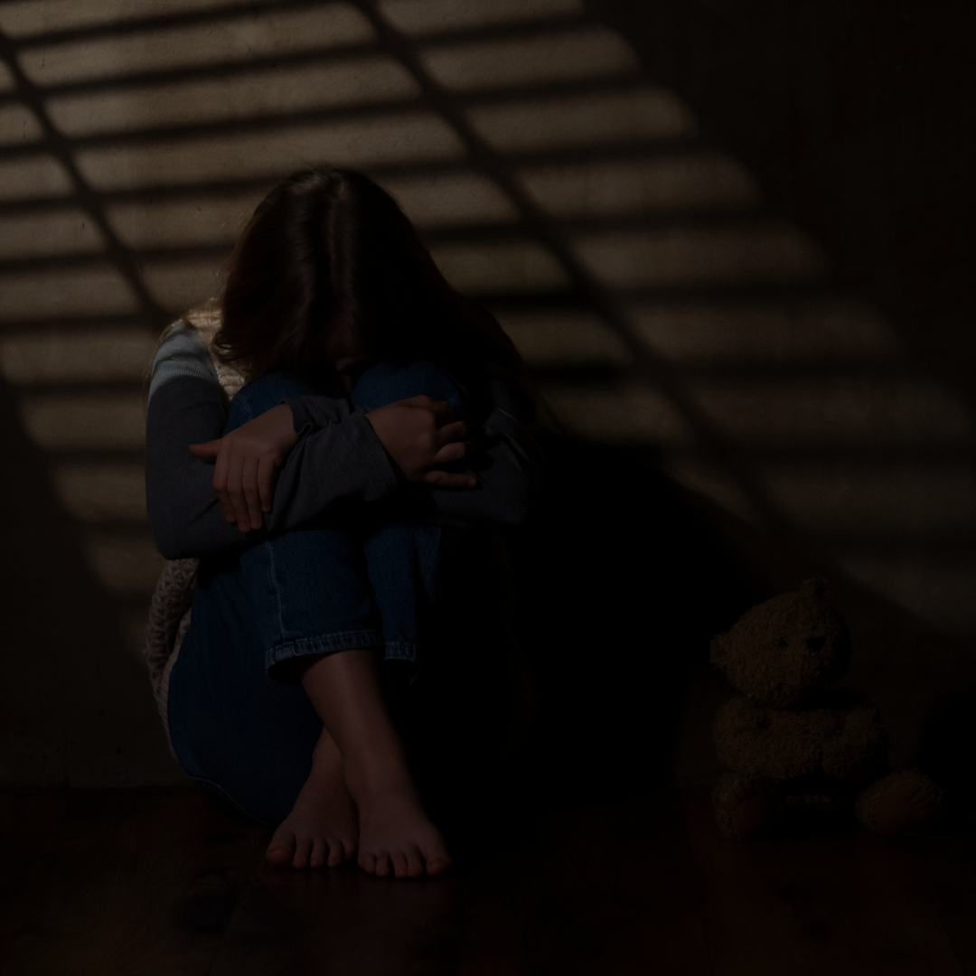What Is A Domestic Violence Case In Punjab?