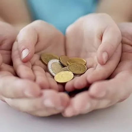 Nuevo ingreso mínimo mensual