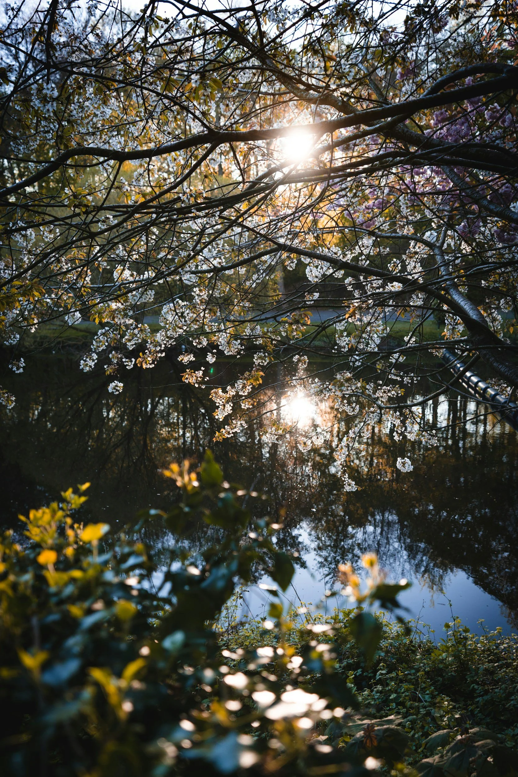 unsplash-image-C1qY9Zfj6T4.jpg