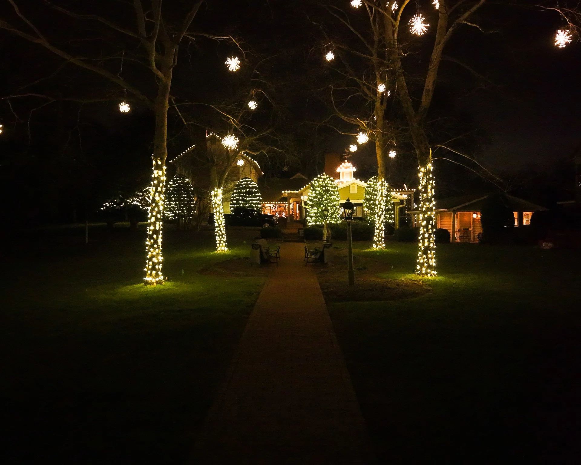 Night scene of a park with trees wrapped in string lights and hanging illuminated snowflakes. In the background, there are buildings decorated with festive lights.