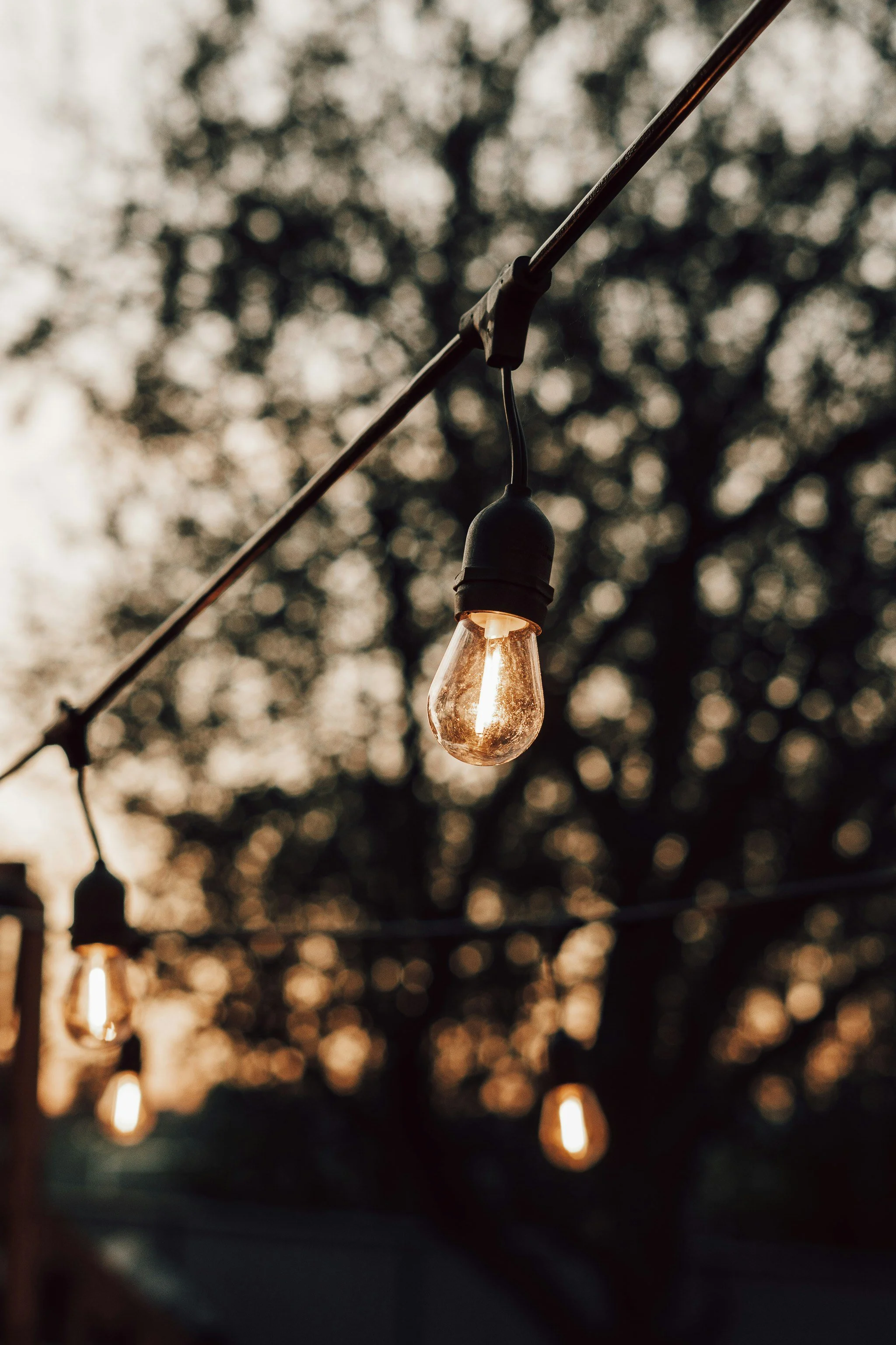 String of outdoor string lights hanging during dusk with blurred trees in the background.