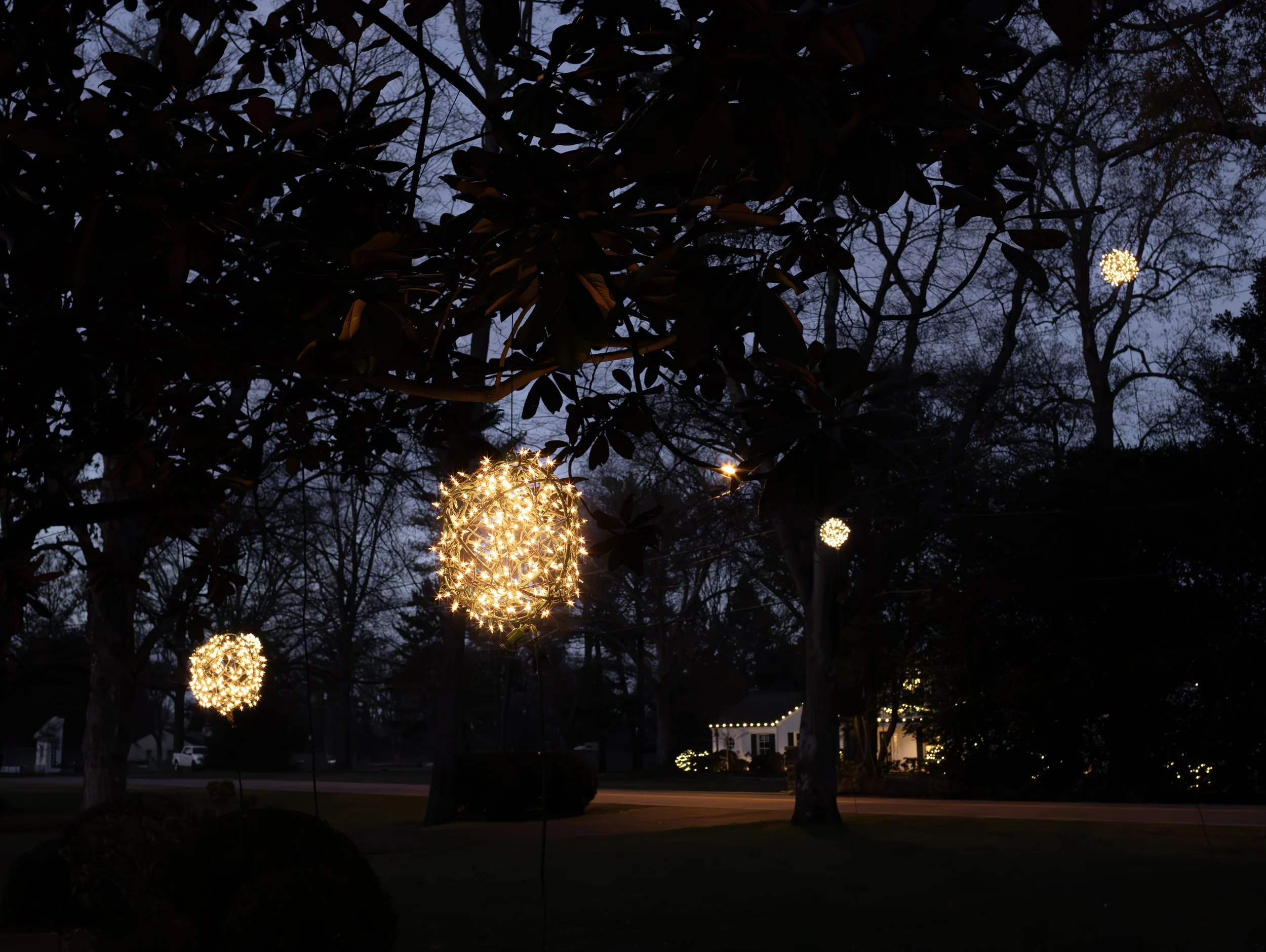 Outdoor scene at dusk with illuminated spherical string lights hanging from trees in a neighborhood yard.