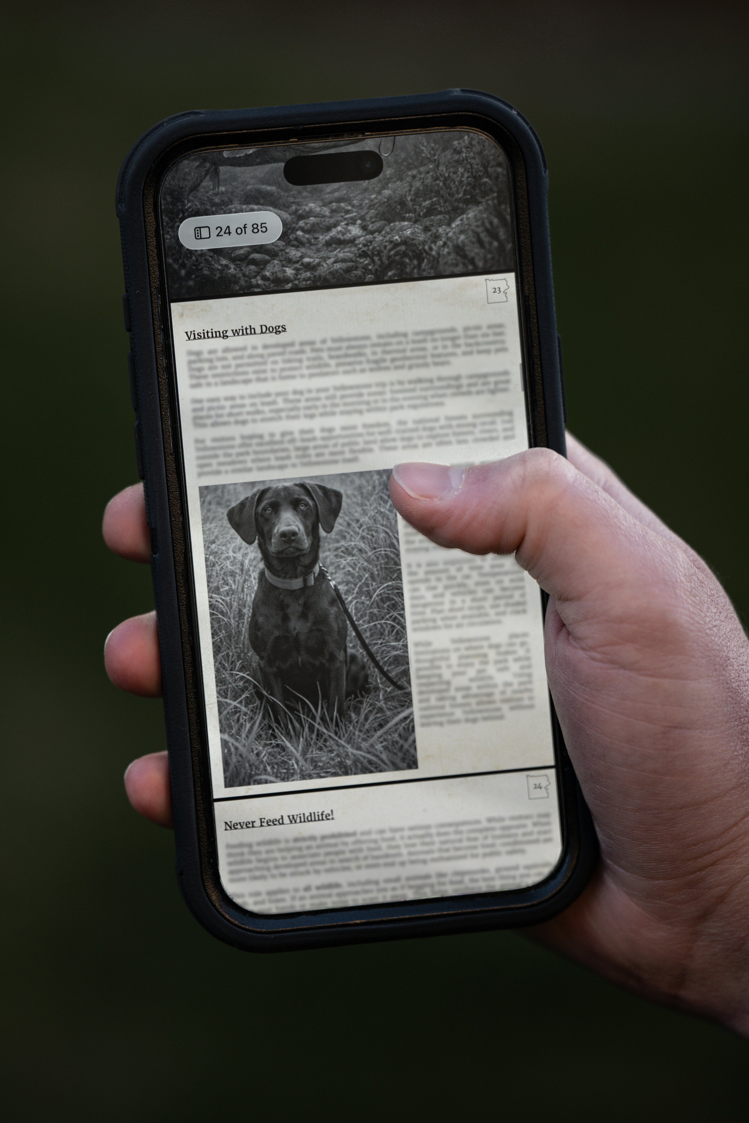 guide_site4.jpg