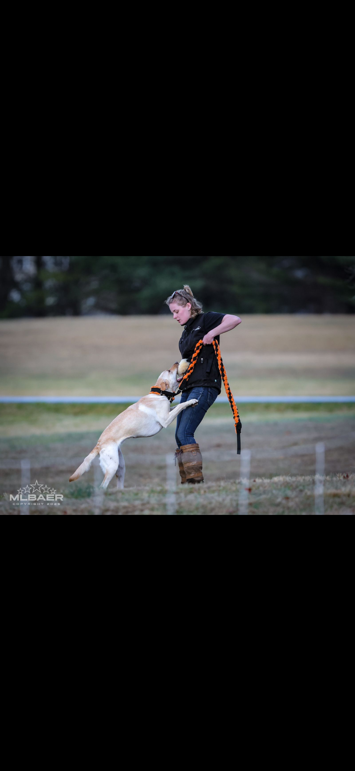 IMG_9196 (1).png