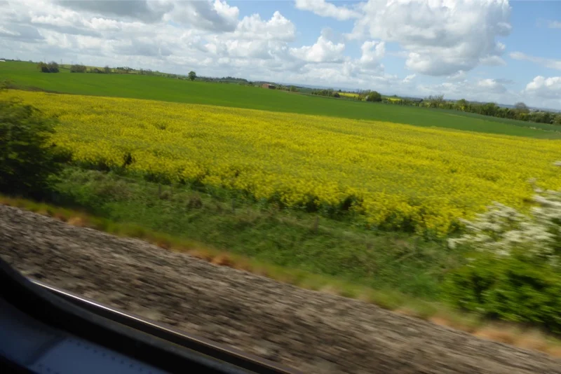 Out the train window between Edinburgh and Newcastle