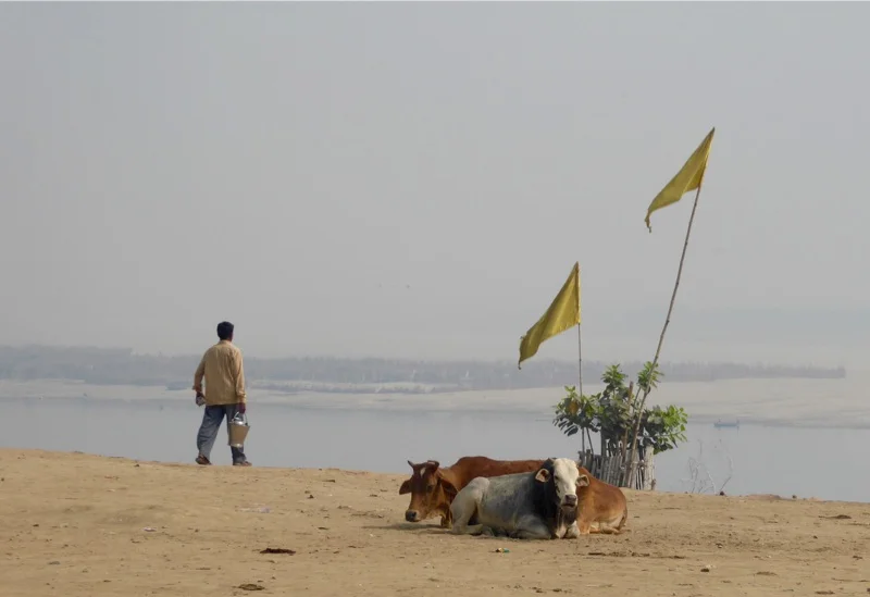 "From here to that cow way over there..."