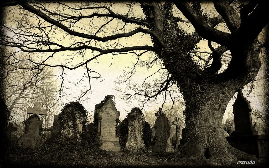 old_victorian_cemetery_by_estruda-d5g1bjo.jpg