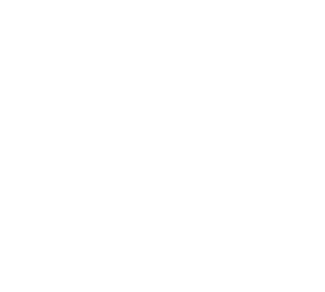 Colibri Workshop's logo. The logo is made up of a stylized humming bird drawing, next to the text "Colibri Workshop." This is the white version of the logo.