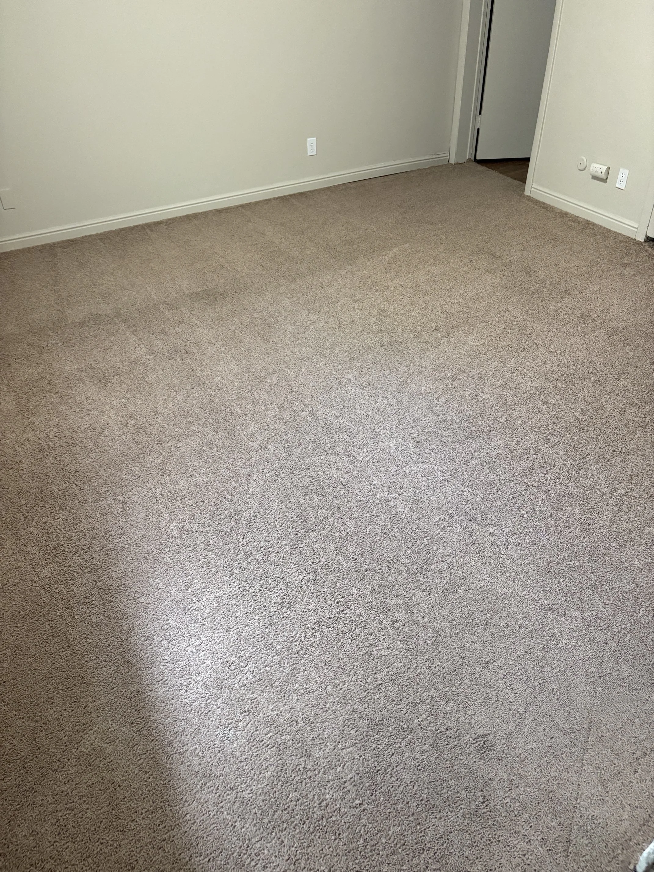 Turn/make ready carpet cleaning completed by Doblo Turn Pros