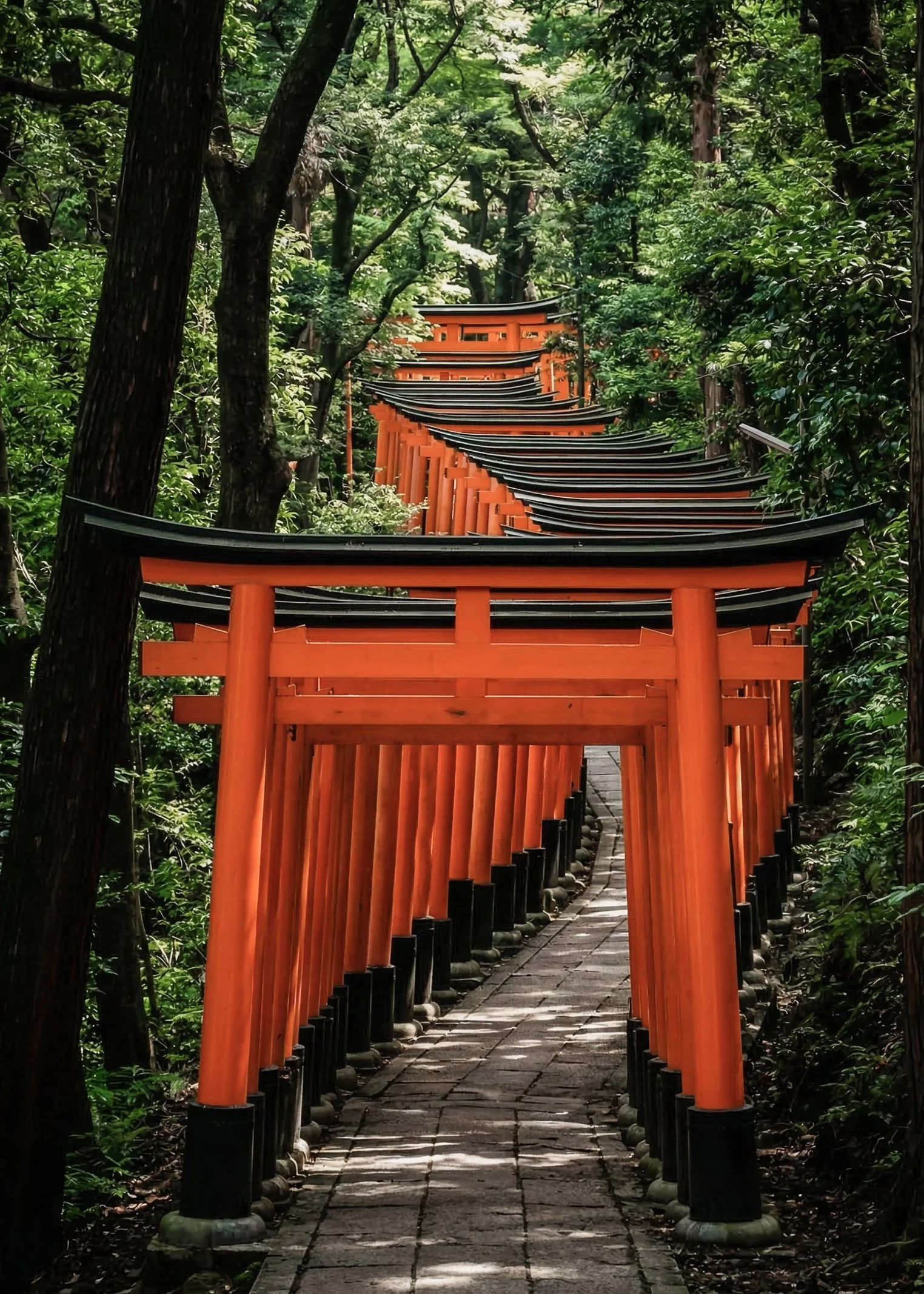 A winding path of traditional orange Torii gates through a lush green forest in Japan, representing custom Asian travel itineraries
