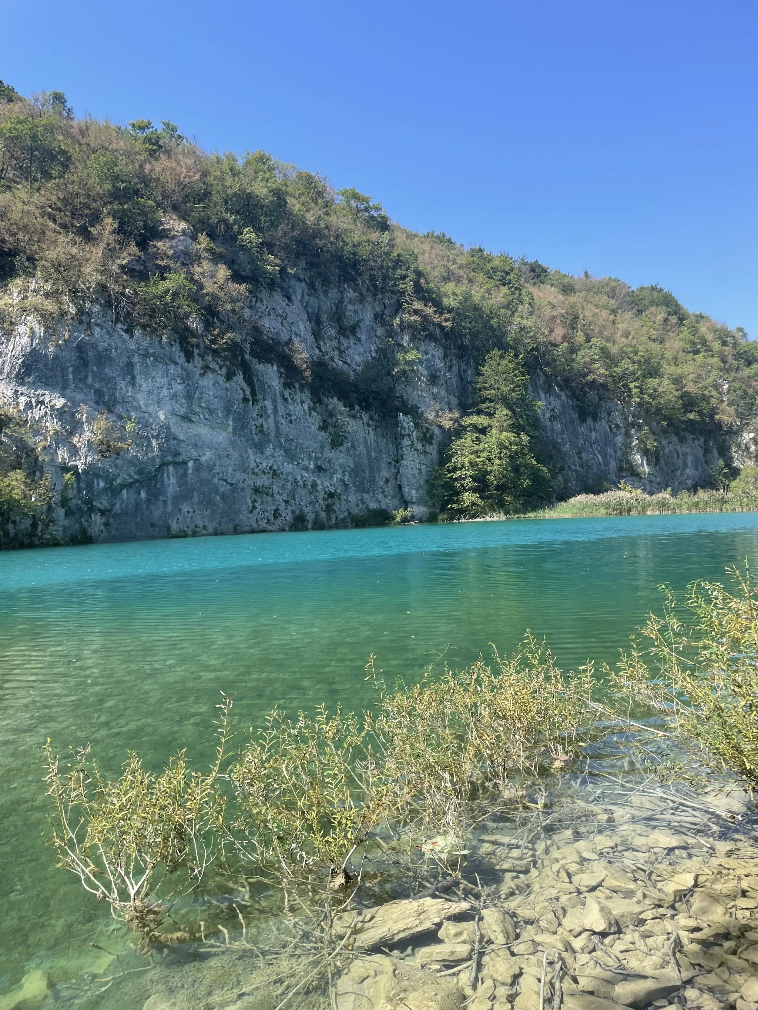 IMG_4479.jpeg
