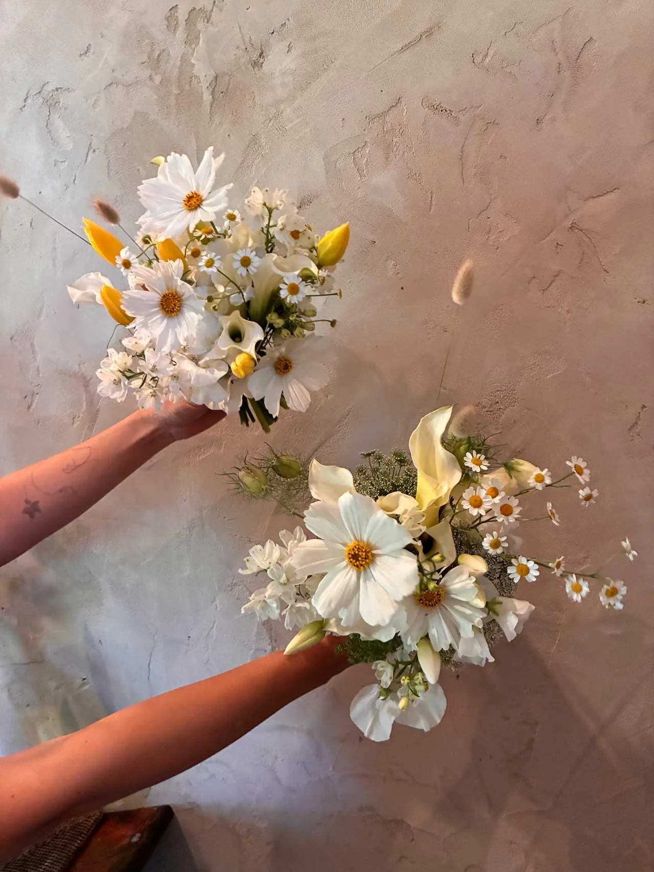 2 hand held bouquets with white daisies and yellow tulips in soft natural light