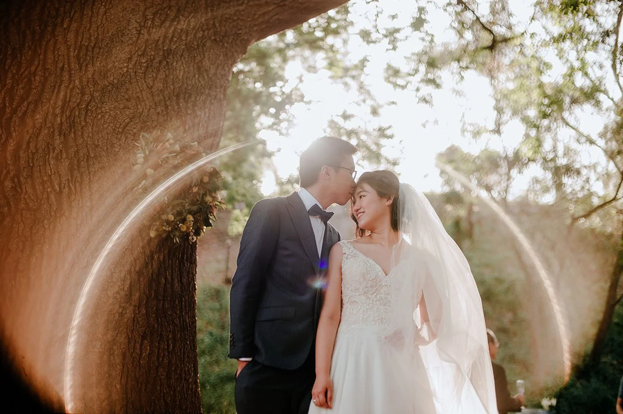 Couple standing under tree in soft sunlight at farm wedding ceremony