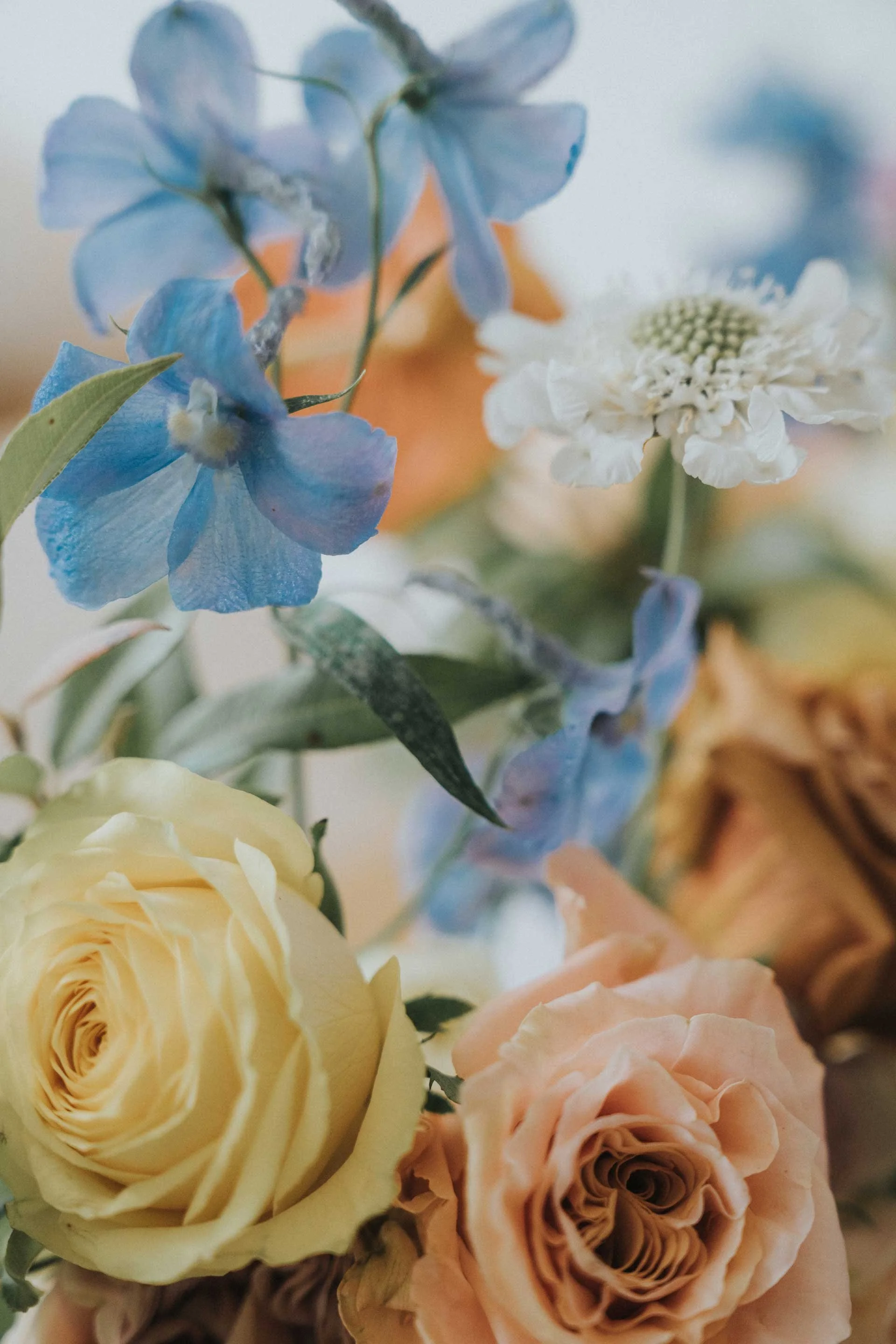 Close-up of a bouquet of flowers including yellow and peach roses, blue flowers, and a white daisy.