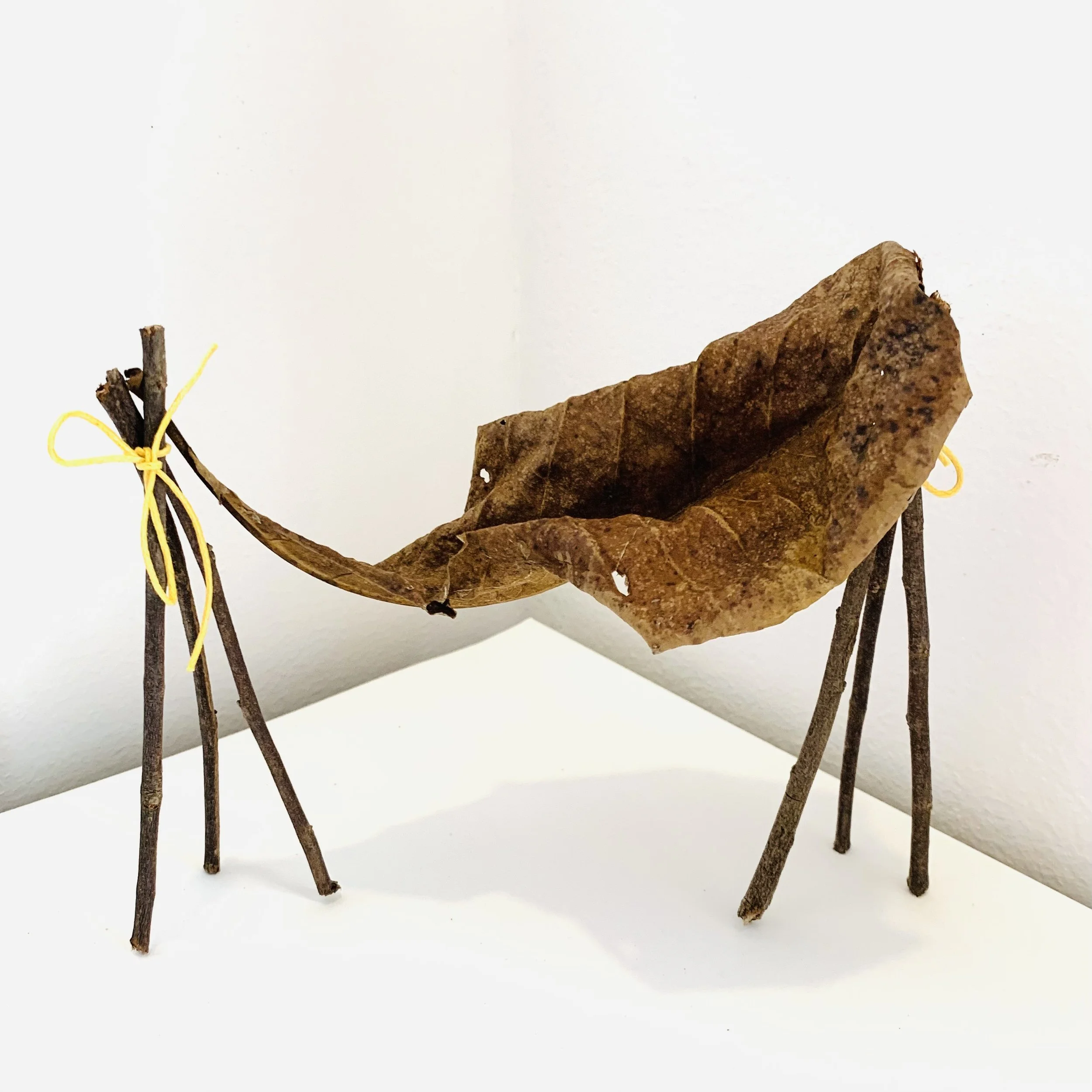 Kavanayén. Chinchorro. 2025

Tree branches, cord and leave 7 × 4 in 18 × 10 cm