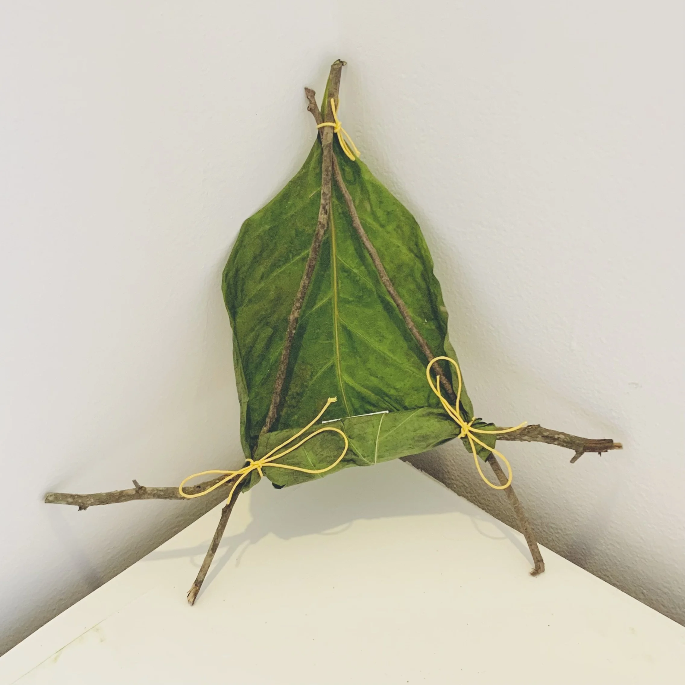 Kavanayén. Holy Triangle. 2025

Tree branches, a leave and cord 9 × 12 in 23 × 30 cm
