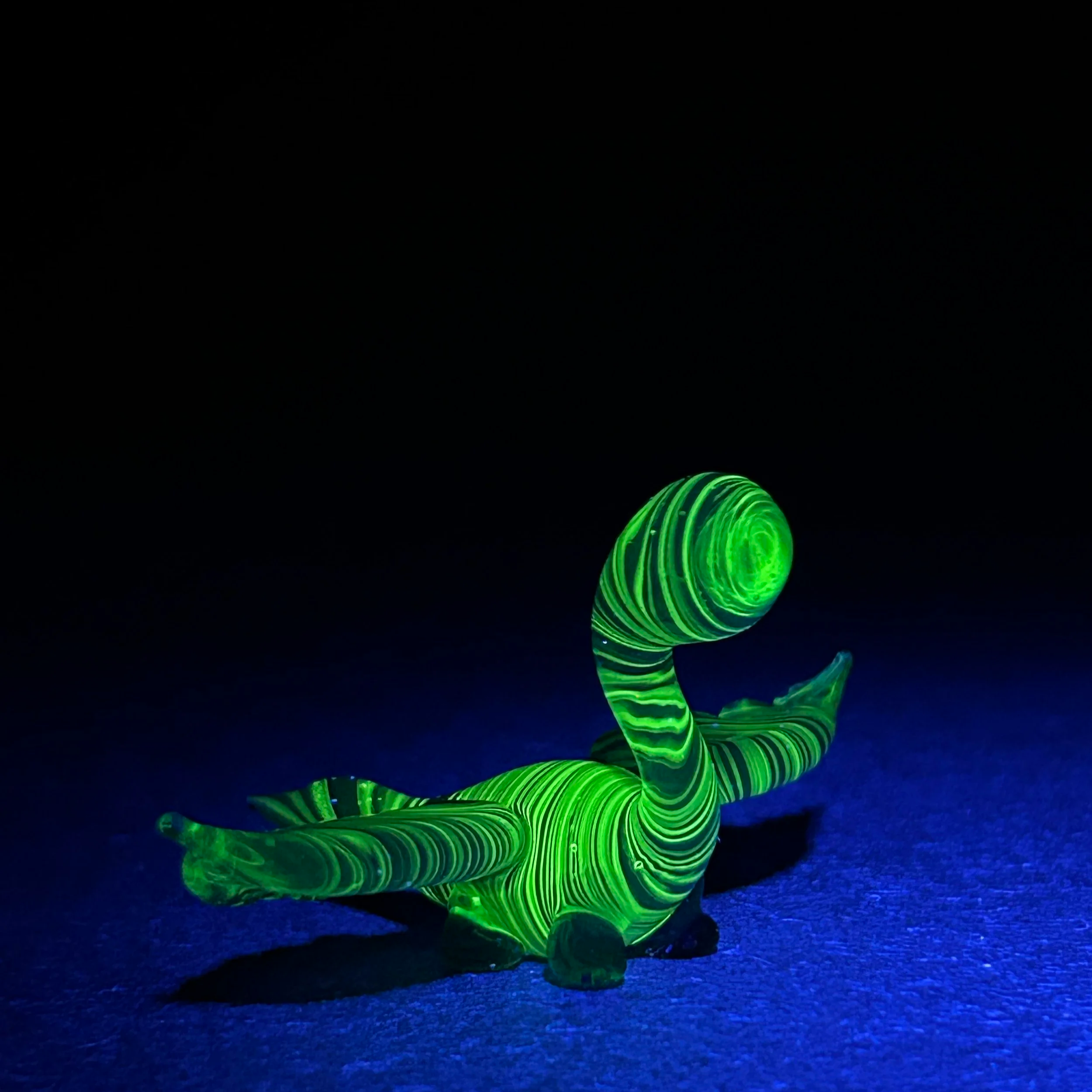 IMG_1796.png