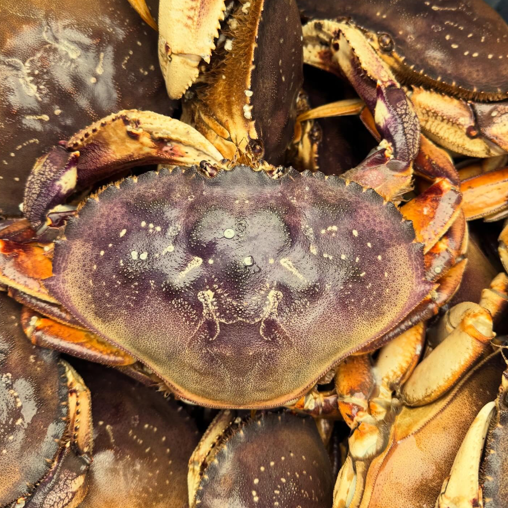 Lummi Seafood