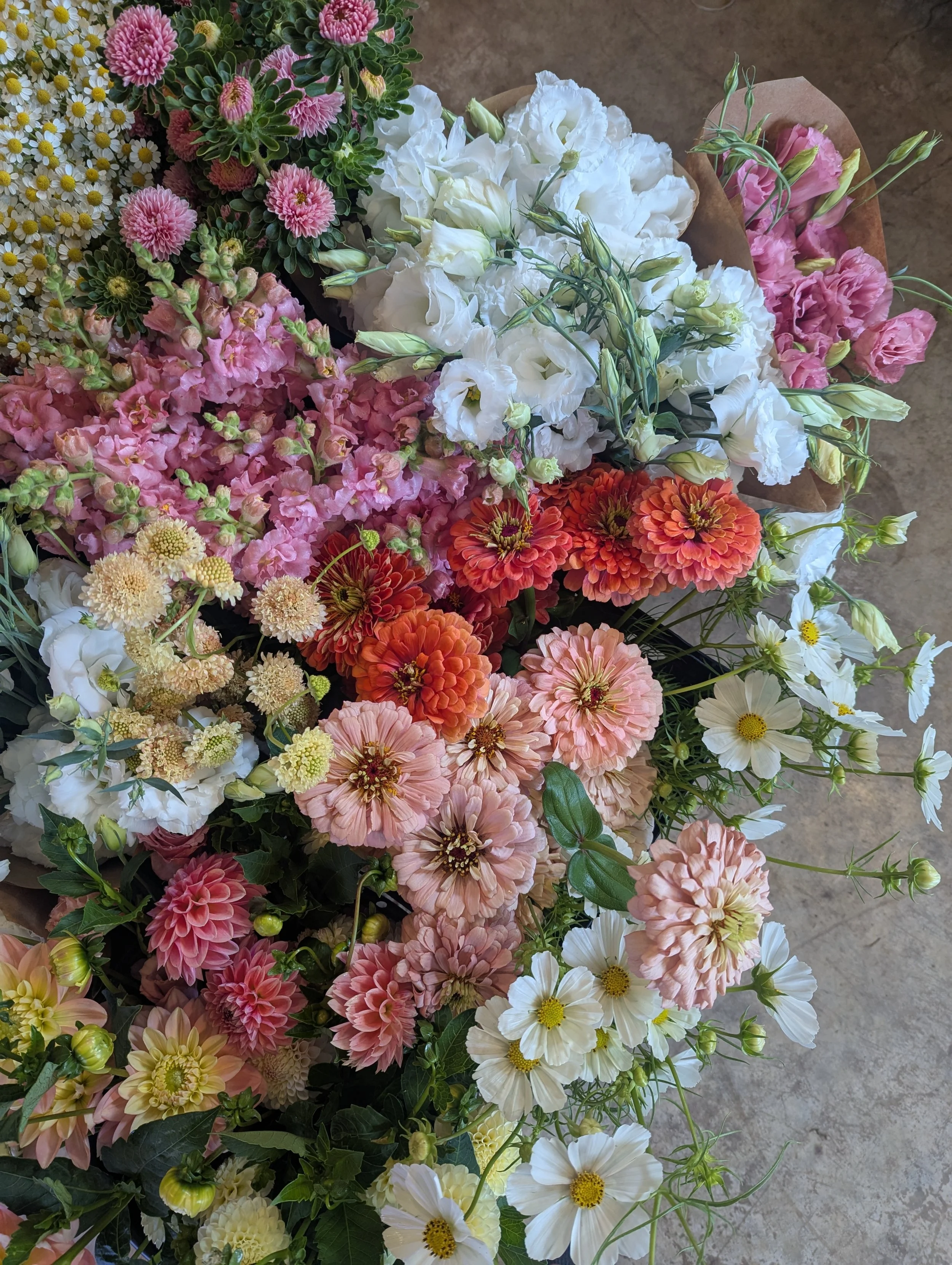 North Sound Flower Cooperative