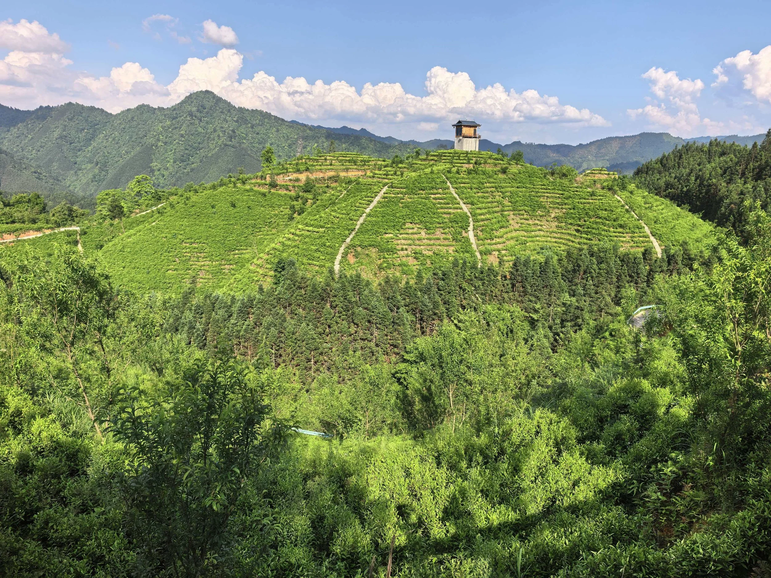 A lush, green hillside with terraced fields and a small tower at the top, surrounded by distant mountains and a blue sky with white clouds.