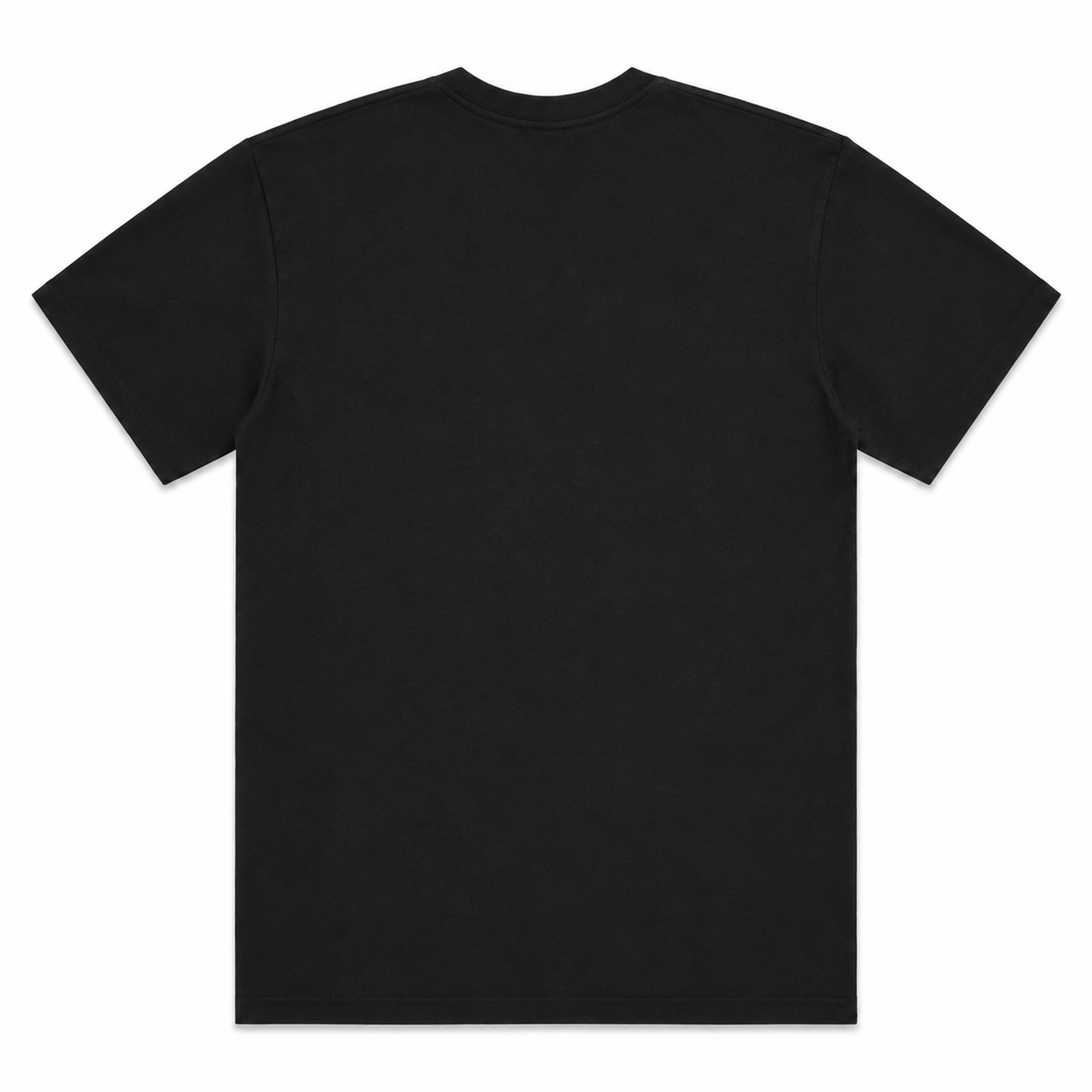 FADED BLACK TEE - BACK.png