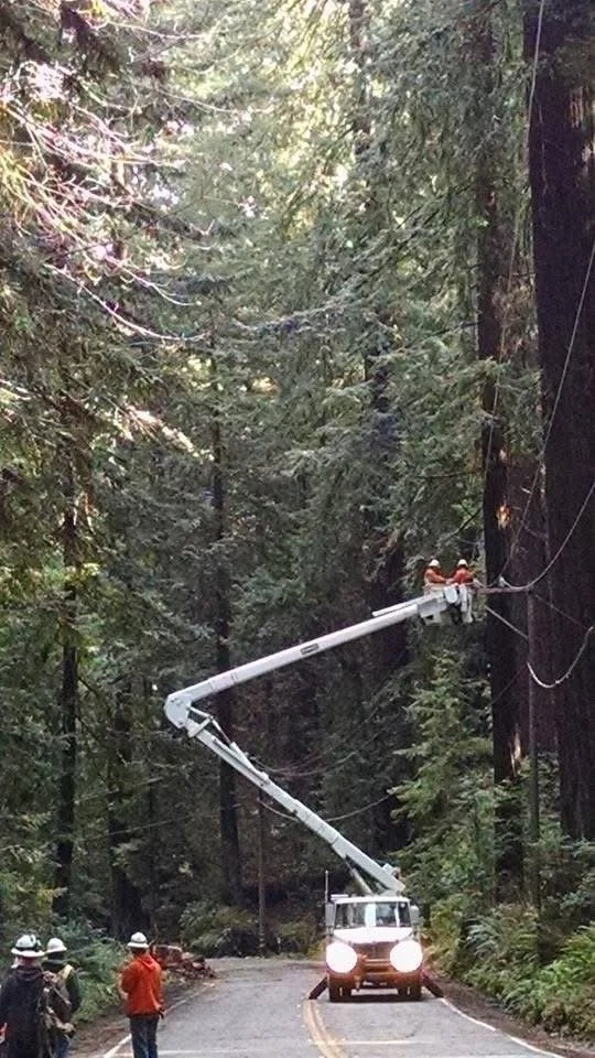 IBEW outside line workers working on a power line from a bucket truck in the redwoods