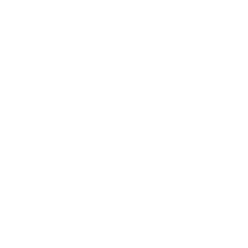 Shadowlion logo with stylized lion head and the word 'SHADOWLION' in white text.