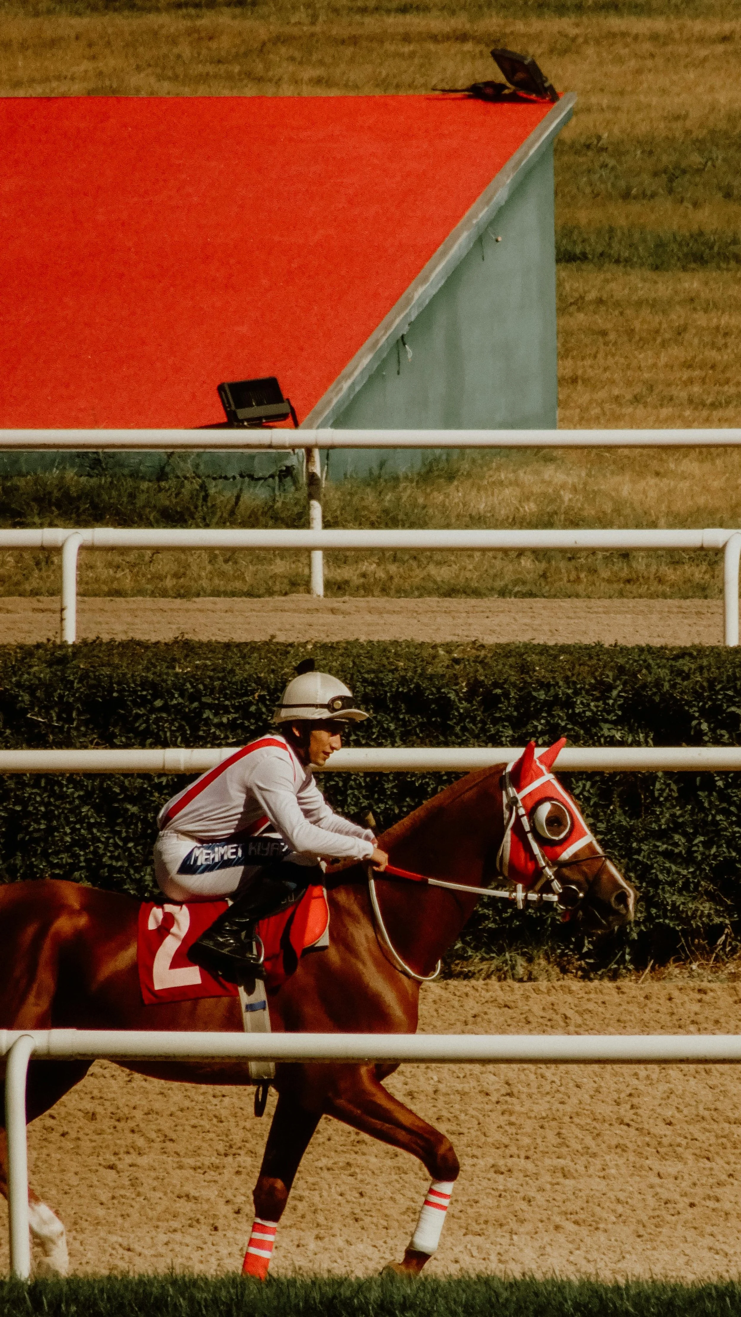 Kentucky derby Day 