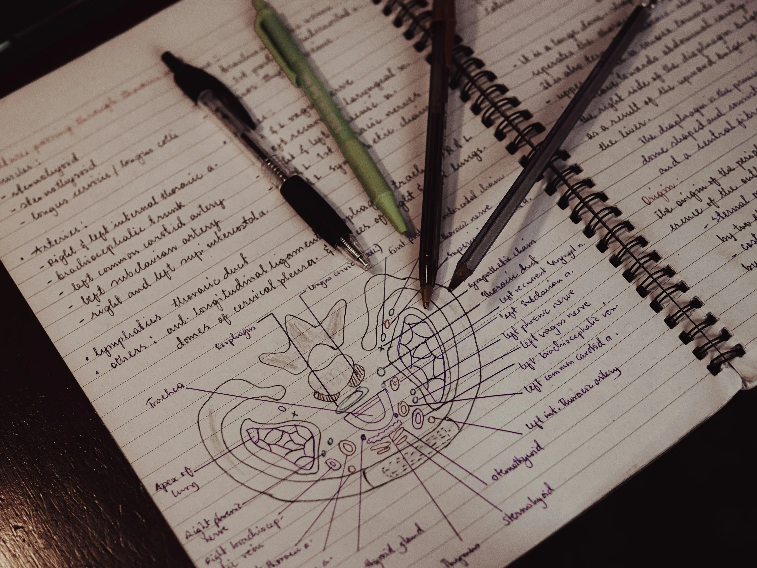 Notebook open to a page with handwritten notes and a detailed diagram of a human lungs and blood vessels, several pens resting on the page.