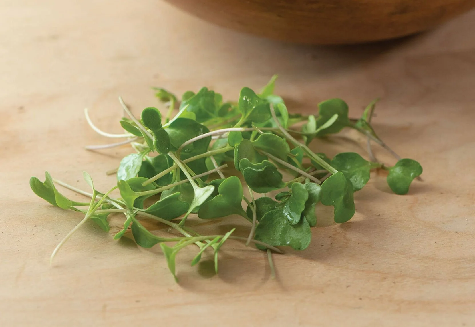 Broccoli Microgreens
