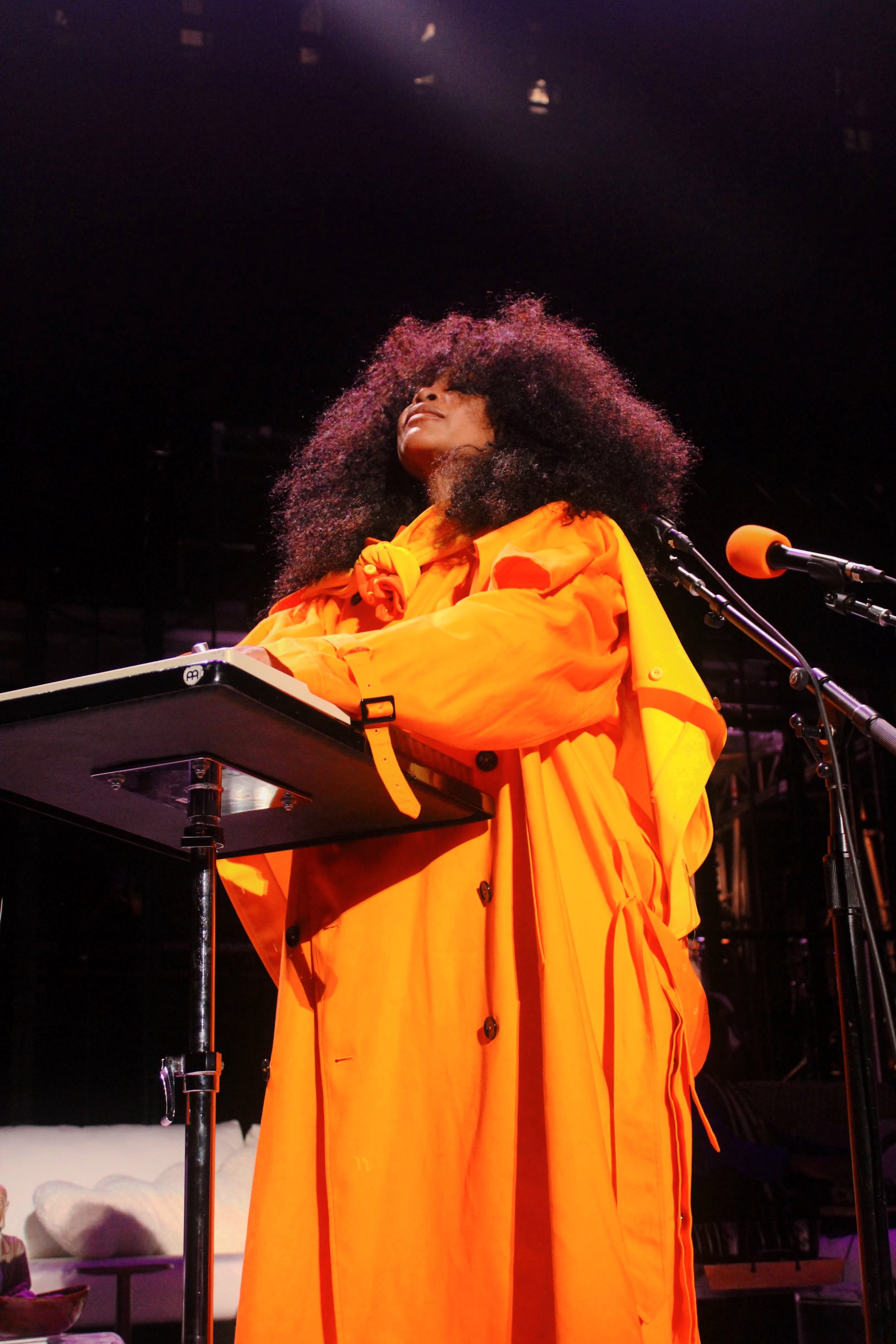 Erykah6.JPG