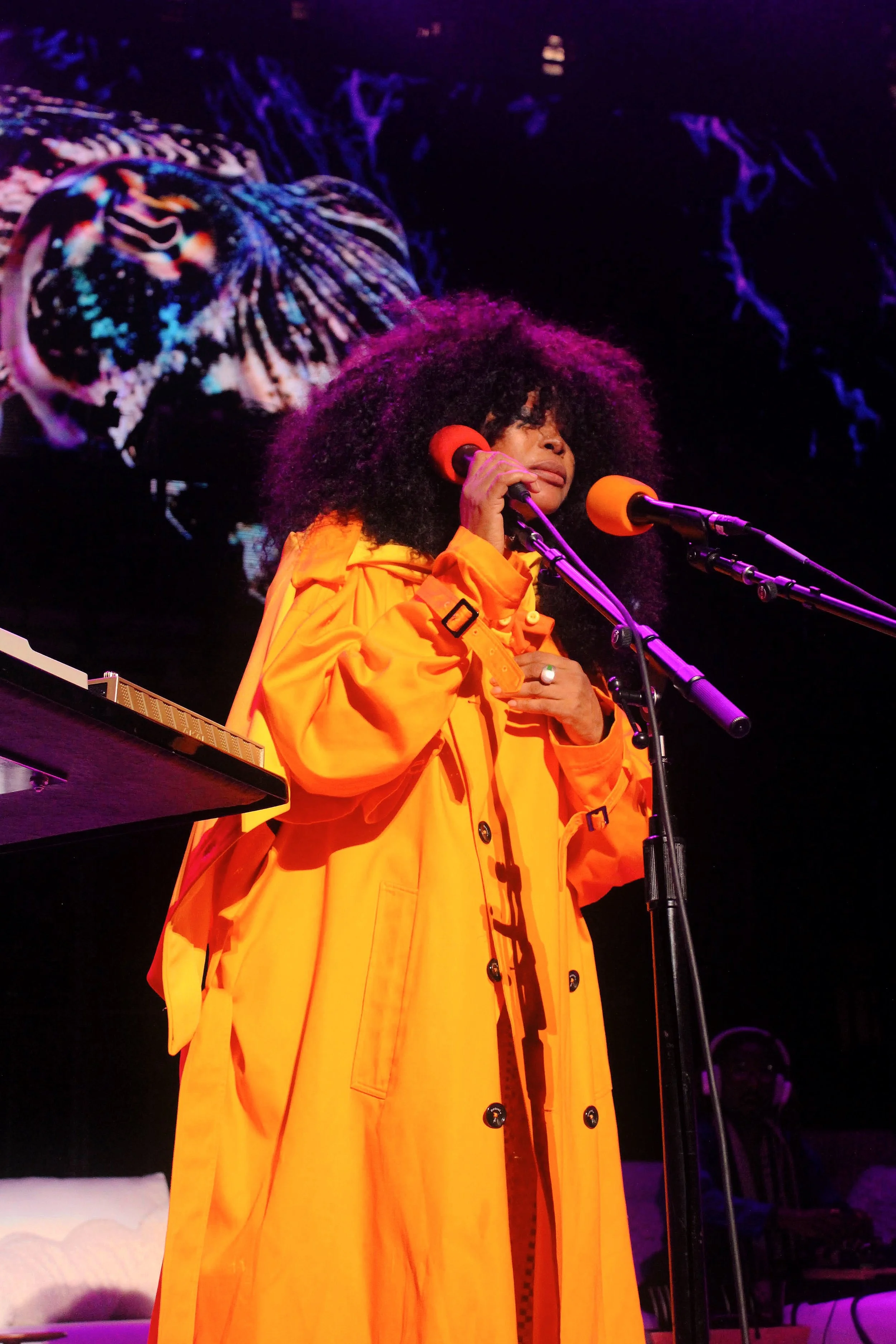 Erykah9.JPG