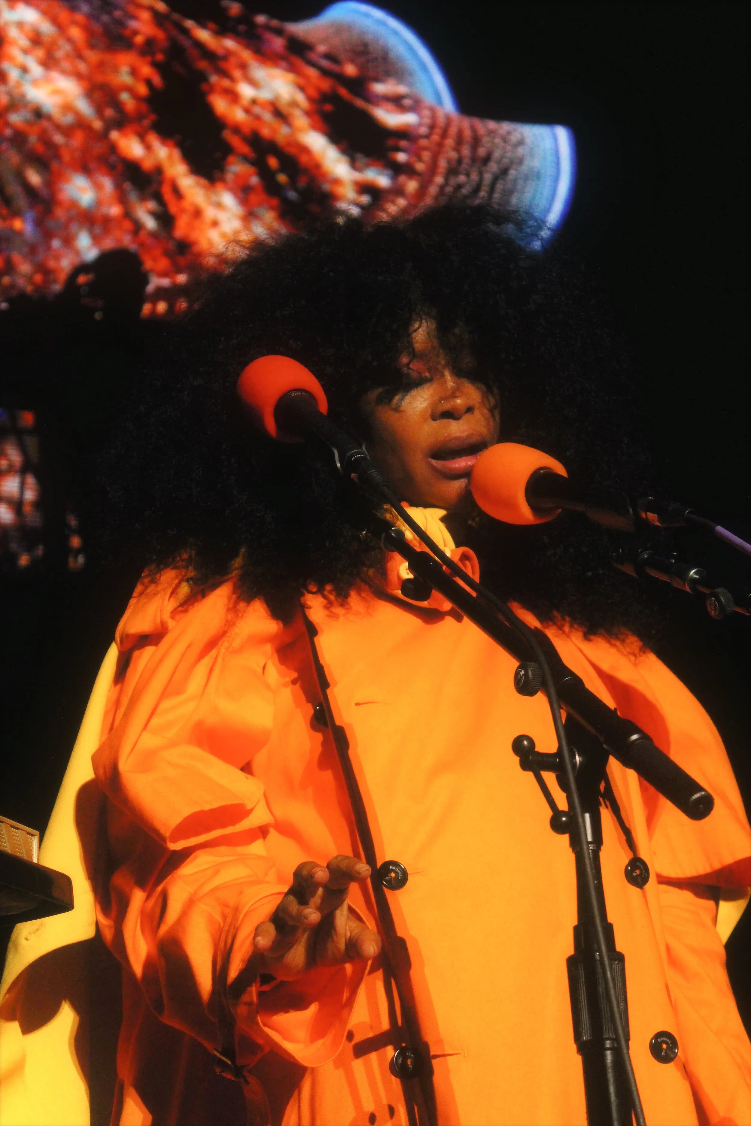 Erykah2.JPG
