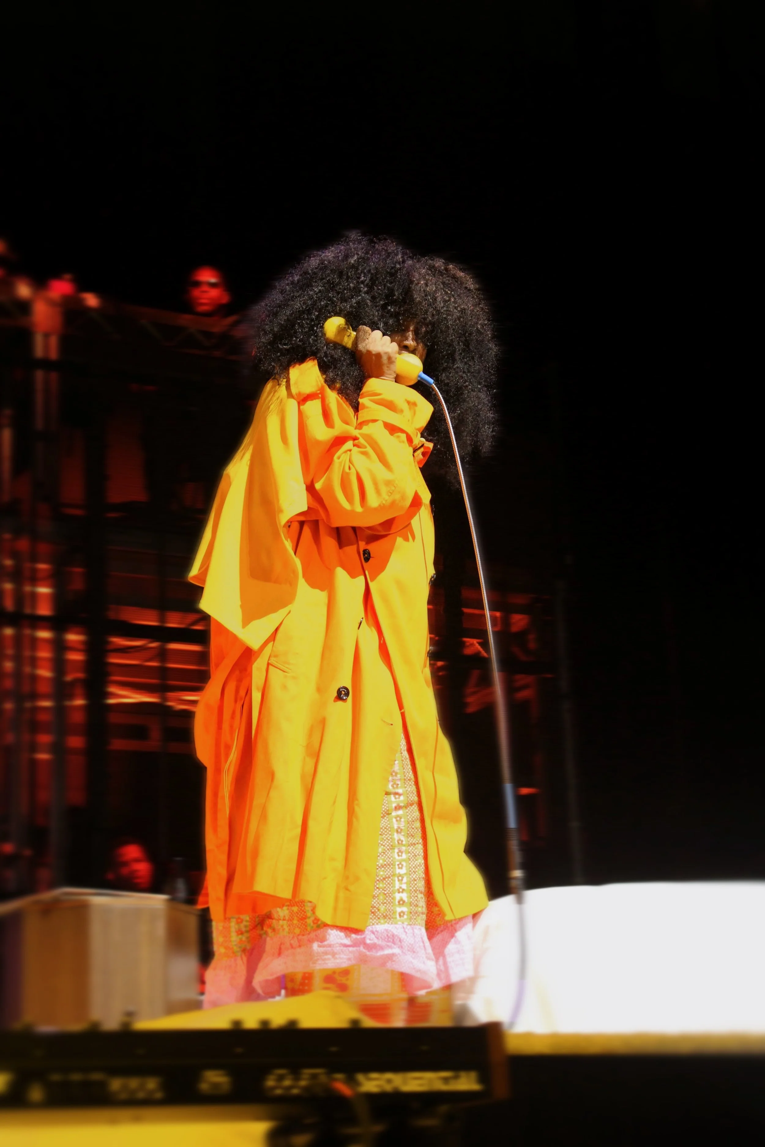 Erykah8.JPG