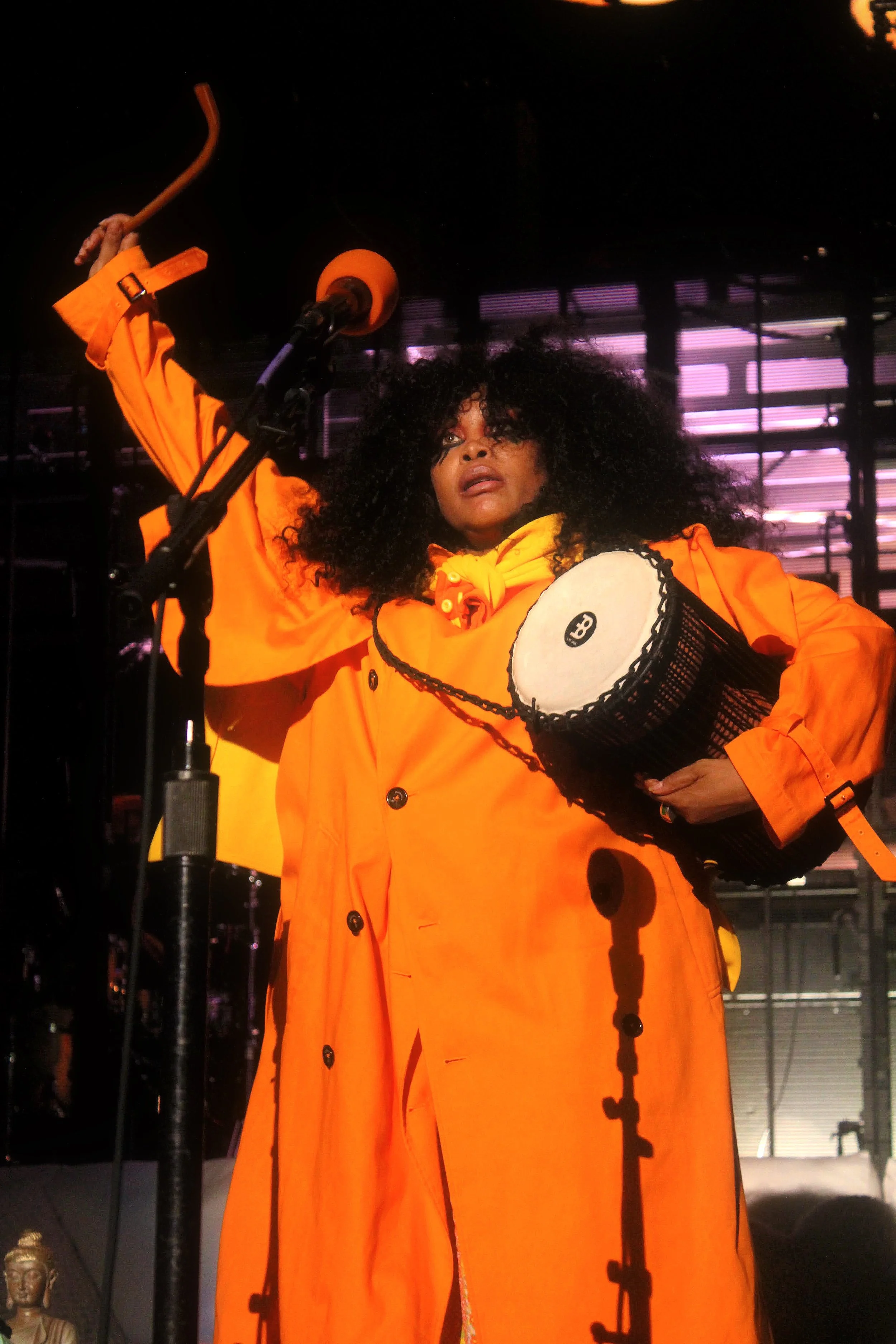 Erykah3.JPG