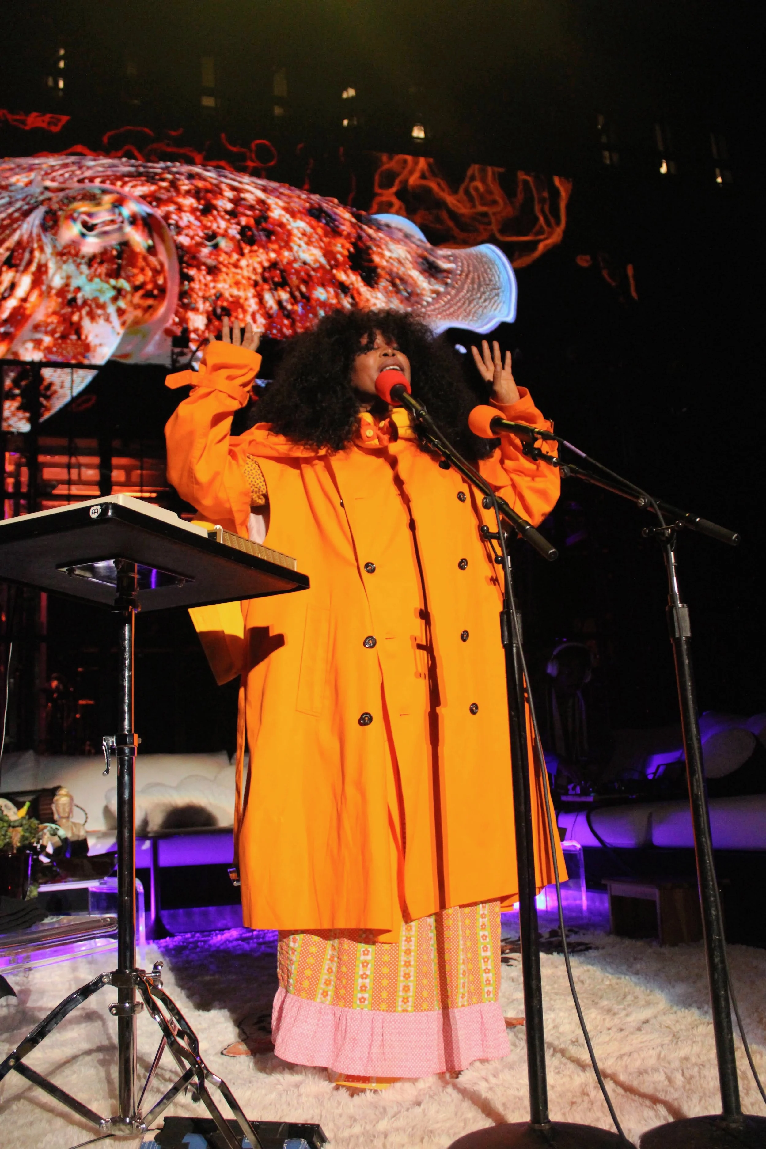 Erykah5.JPG