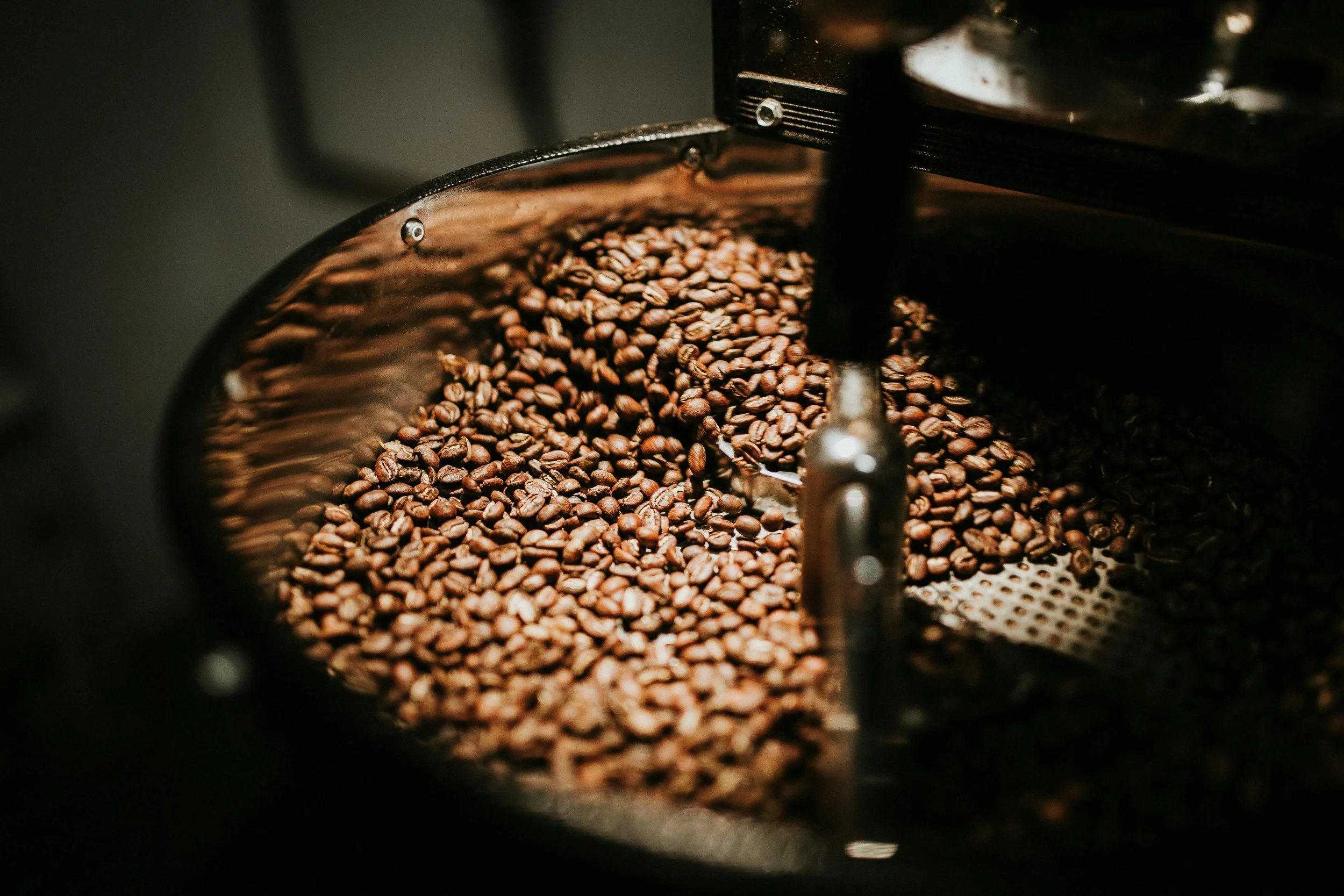 Close-up of roasted coffee beans inside a coffee roasting machine.