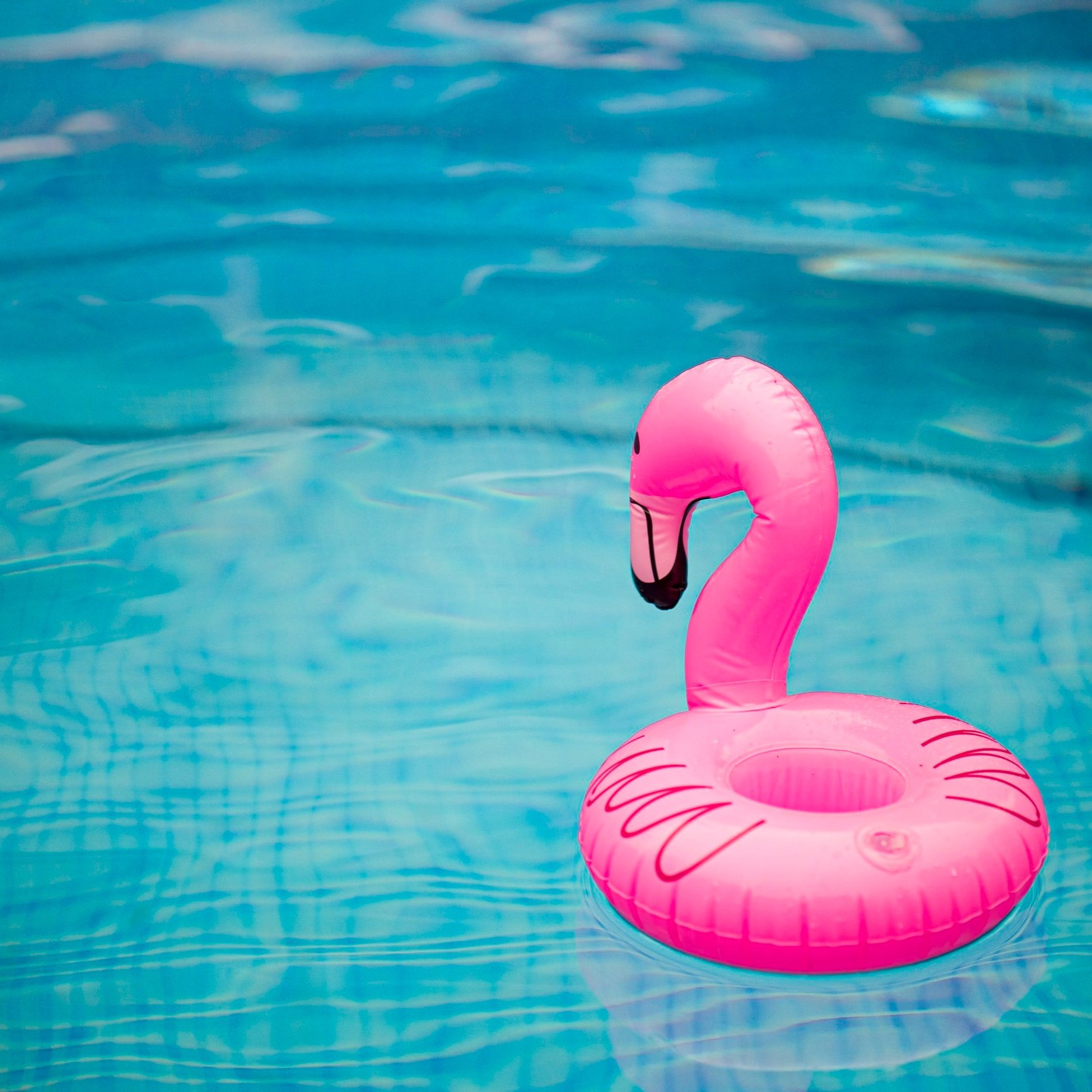 Can a Pool Make a Swimmer Sick?