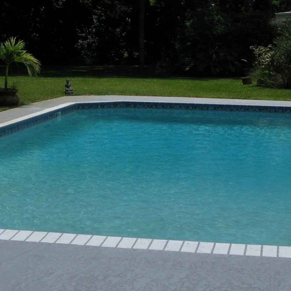 pool service in Clearwater, Florida