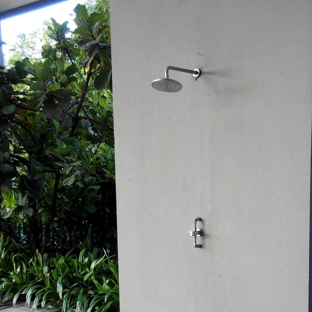 Diseases in Your Pool and How to Fight Back
