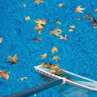 How Leaves Can Damage Your Pool